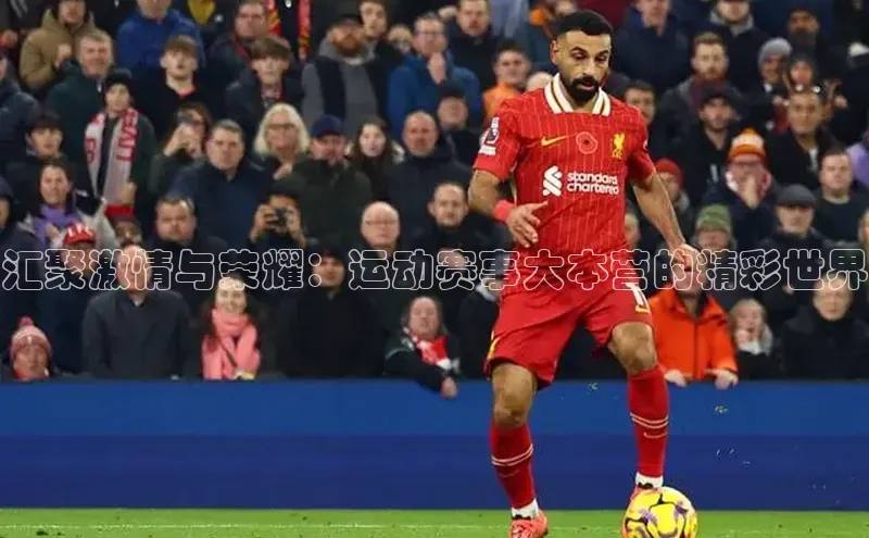 欧亿体育下载官方网站